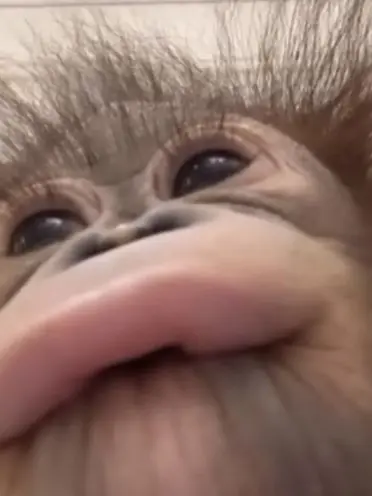 DeepCorn6662의 공쌤