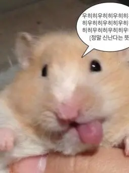 StuffyBin0354의 일진 오비스트(퀸카/킹카편)