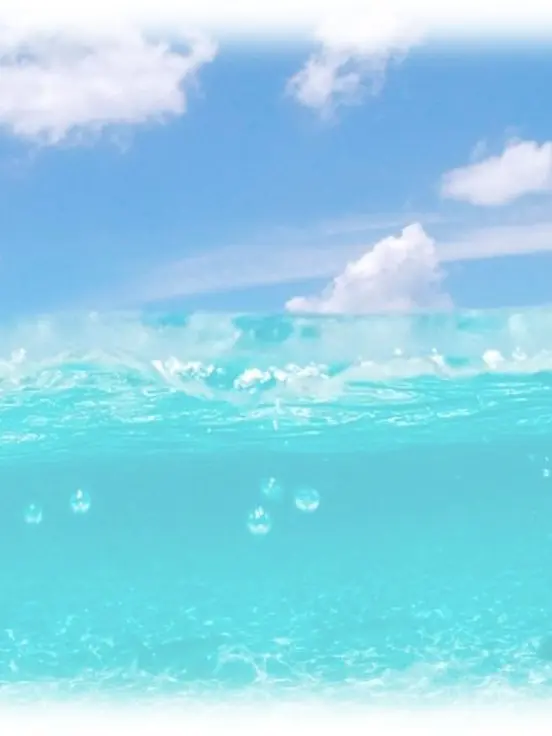 HerbalRate3012의 지뢰찾기