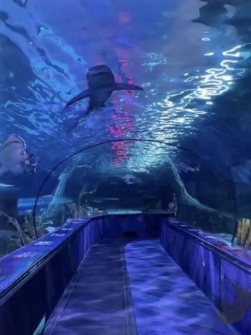 kaibutu4의 水族館 ~犬猿の仲？~