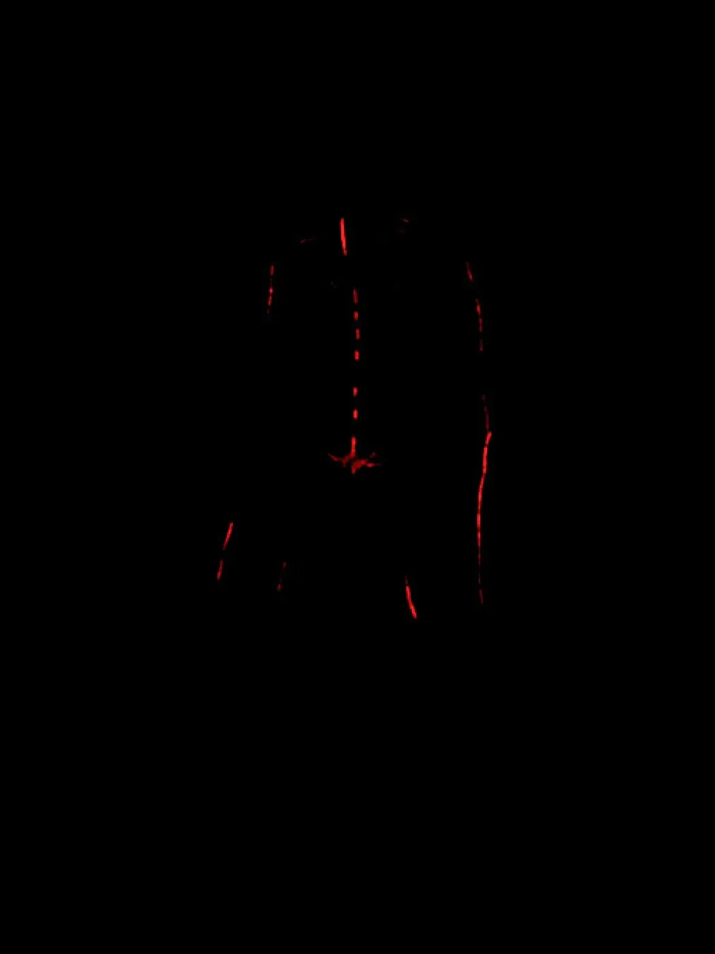 The_World_Looks_Red의 §ŒMƏÞĤÏṄĞ ẄỊĆƘƏĐ