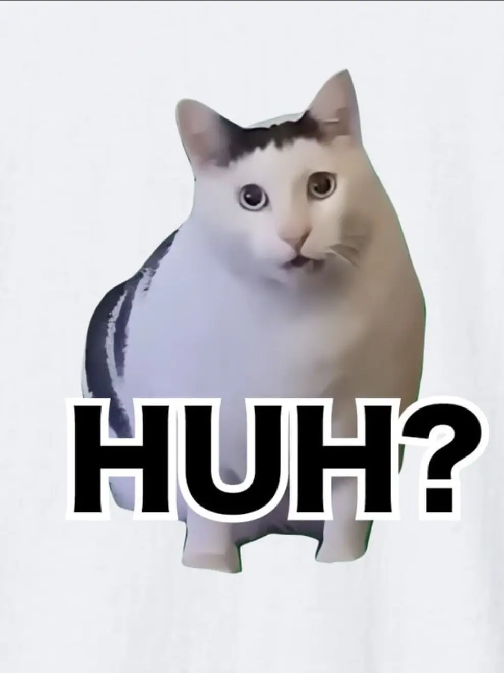 MuskyLoan3896의 Cat Meme Share House 🤓👉📱