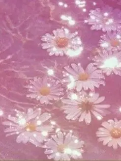 fheja_1238의 아무거나