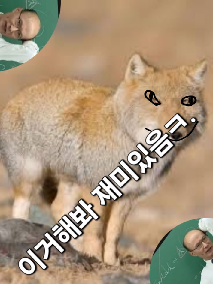 심심하노; 암튼 당신은 고양이임(?) 대표 이미지