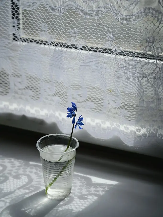 gomme의 ✾—->✿–>❃–>