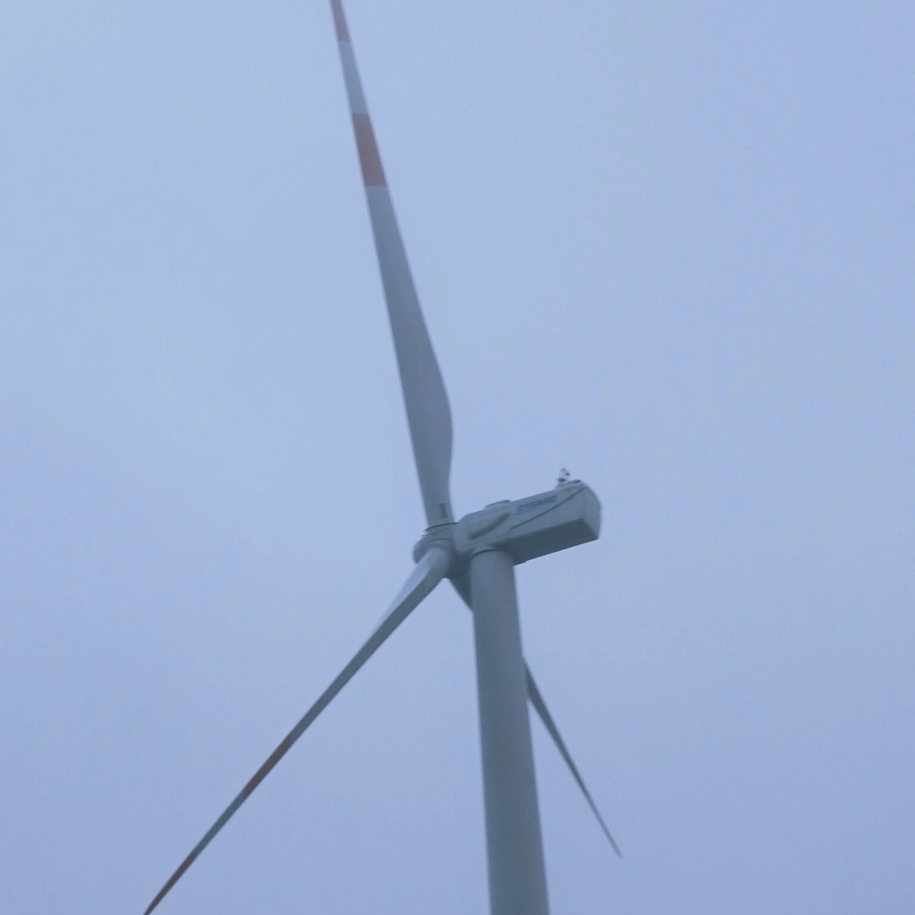 LonelyBasil7107의 풍력 발전기 직원