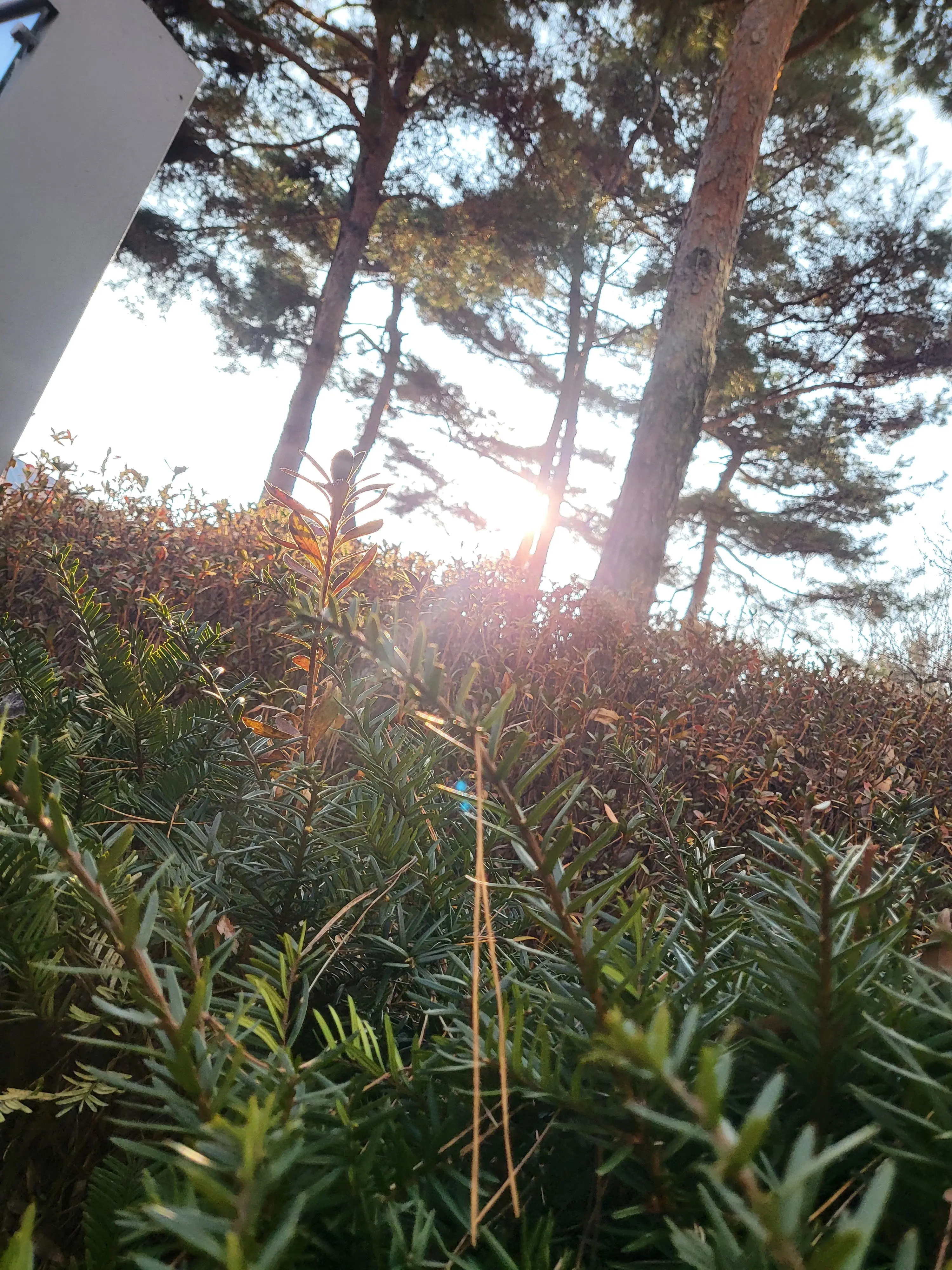 Covet의 리레볼루션-1.『무너져버린 꿈』