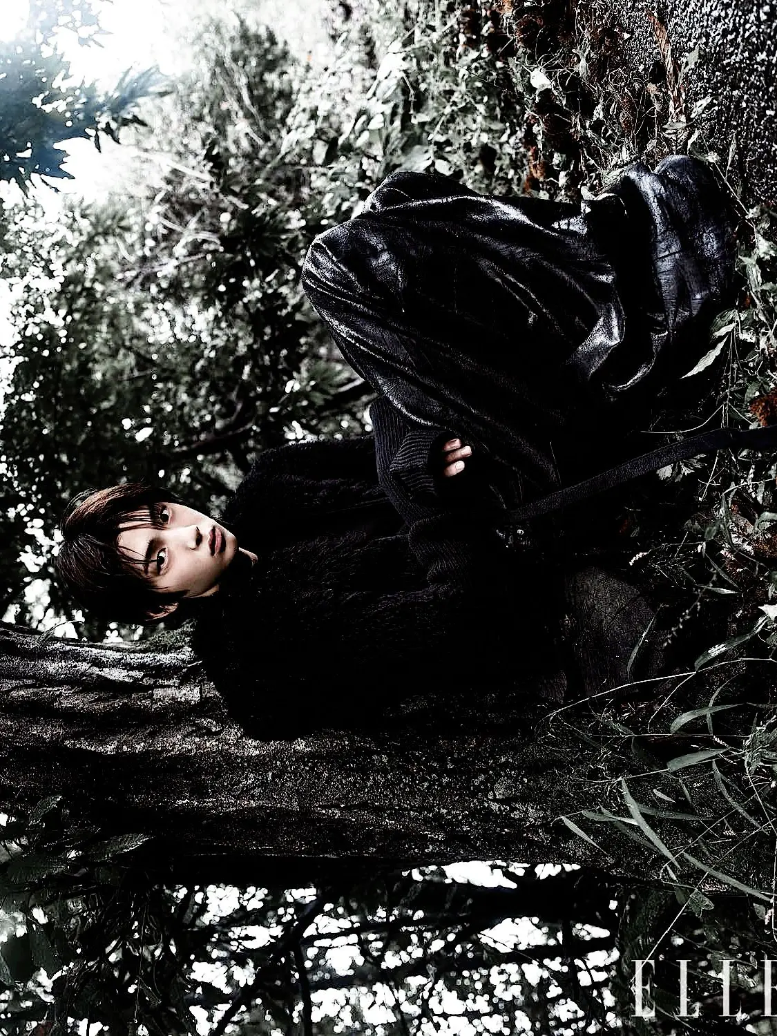 dolleds의 BOUNDARIES OF BLOOD.