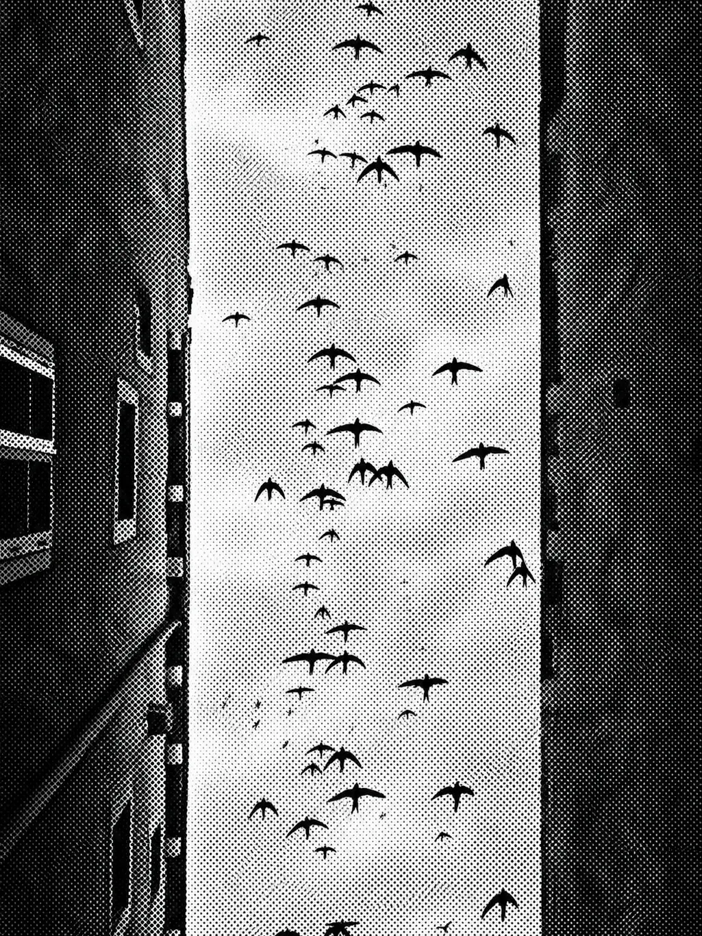 Error-ErRor-.의 ㅤ