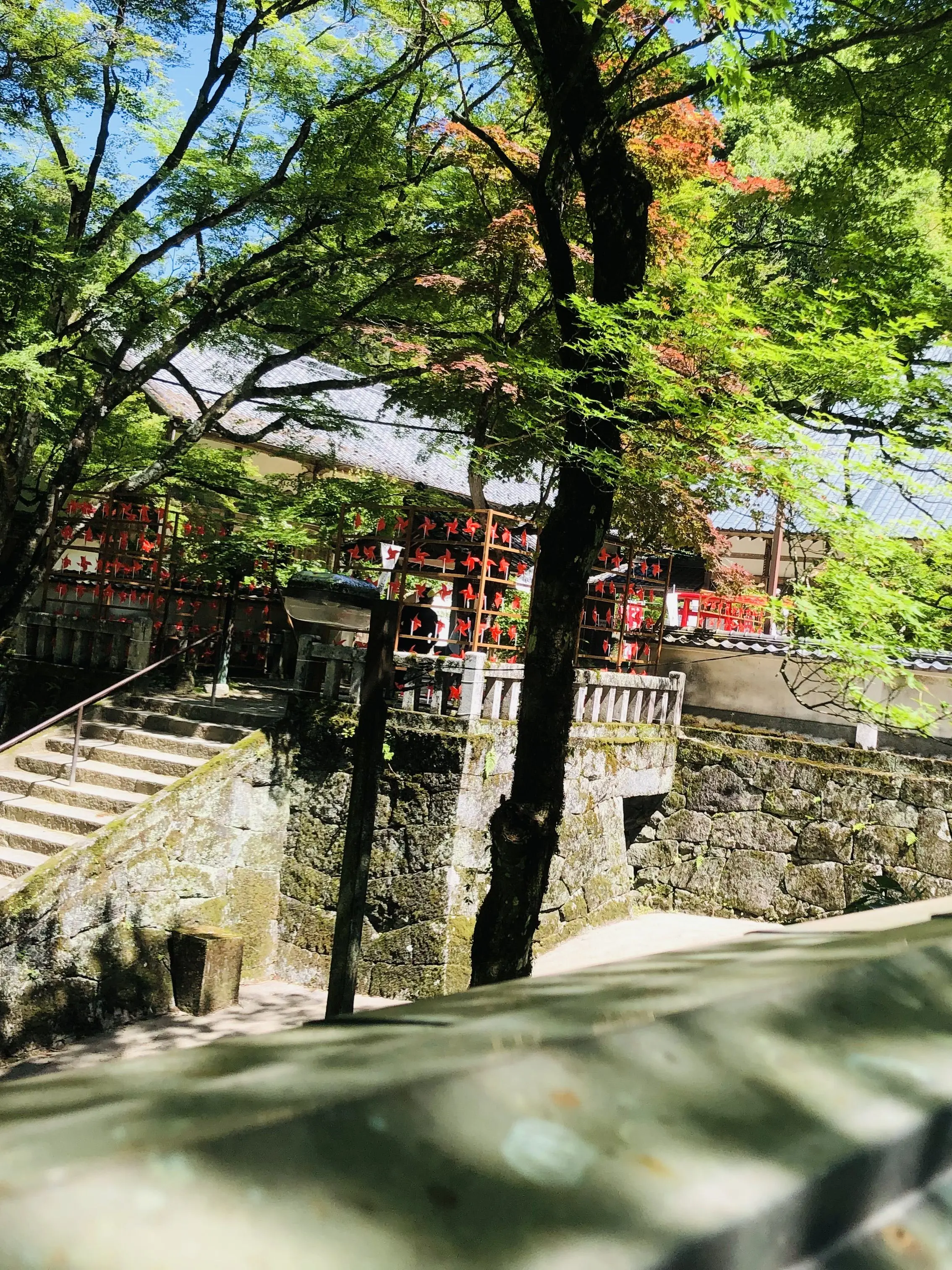 katouya.yamato의 神社の裏側