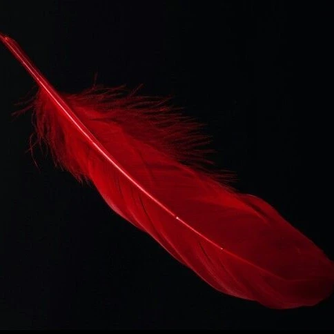 덕질하던 히어로가 나 찾는다고요?!