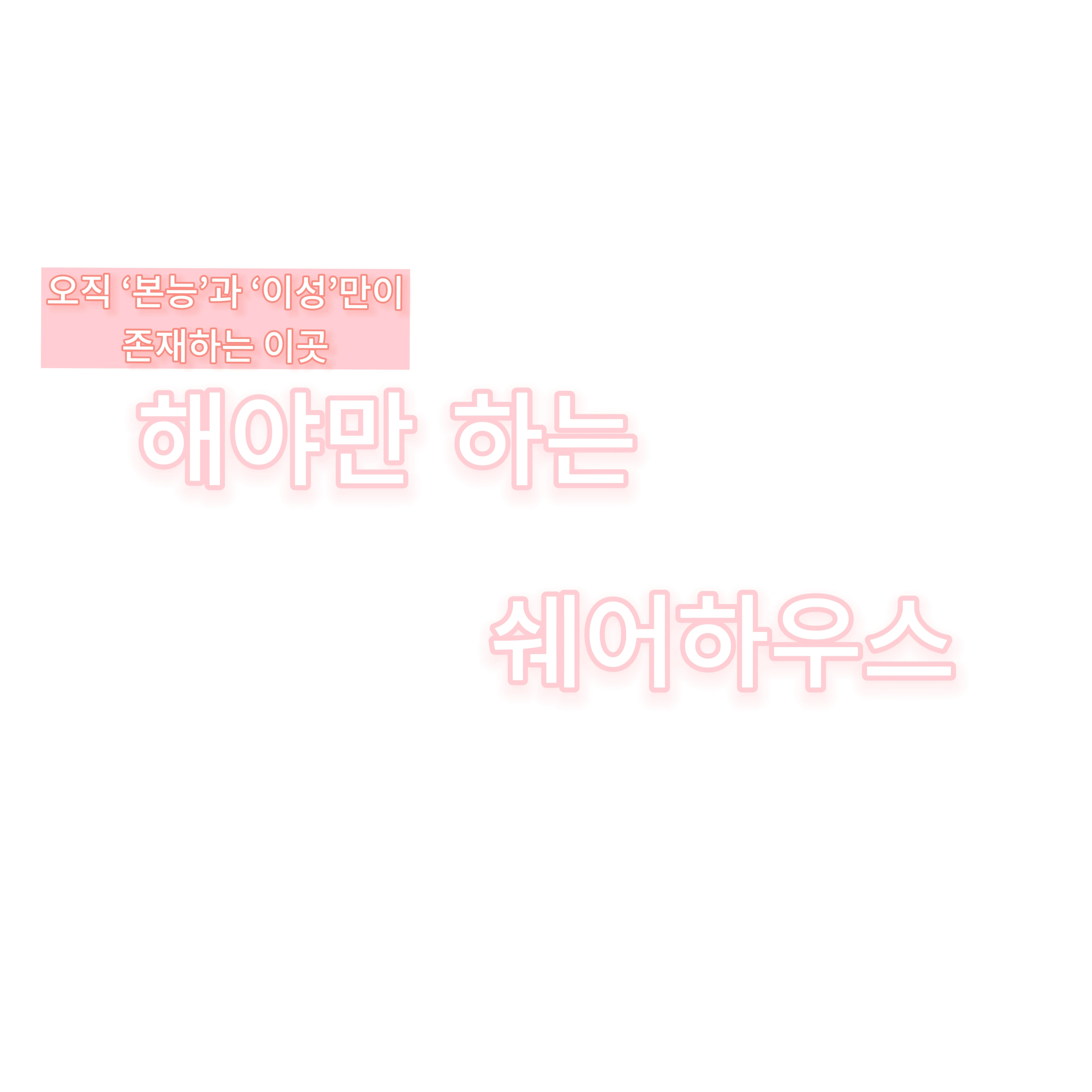 해야만 하는 쉐어하우스