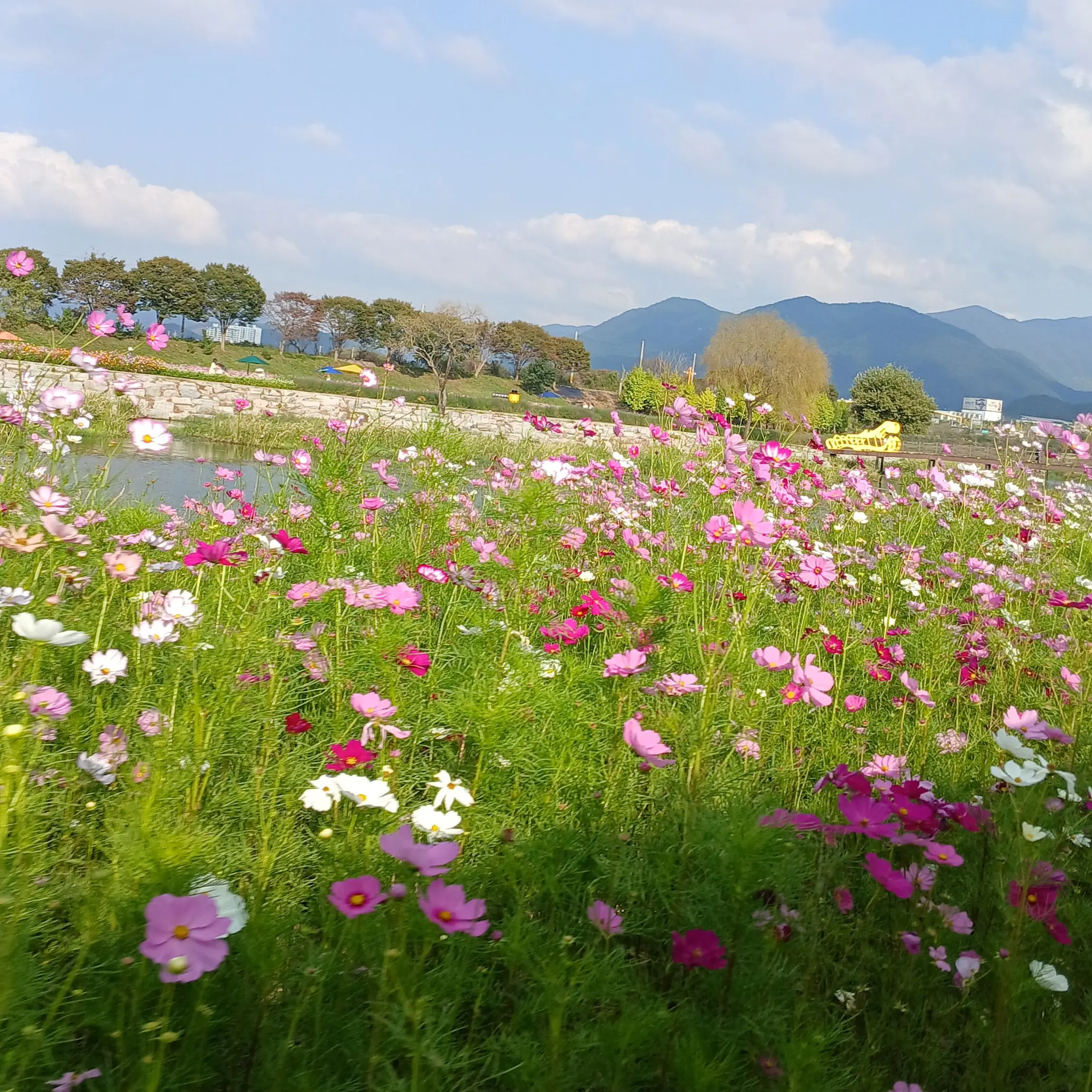 NeatFeist3378의 고고프런즈 실험