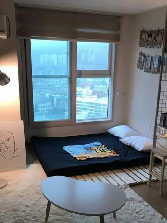 Eavilsoyun의 이종족과 인간들이 같이 동거생활