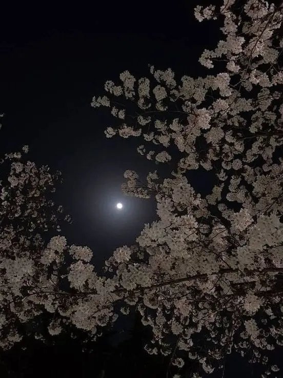 Wkdfkddl의 教えて