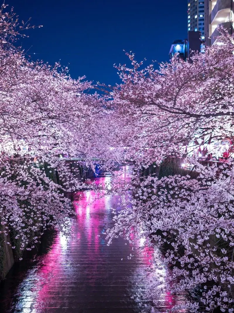 kisaragi_yura의 皆さんに聞きたいです