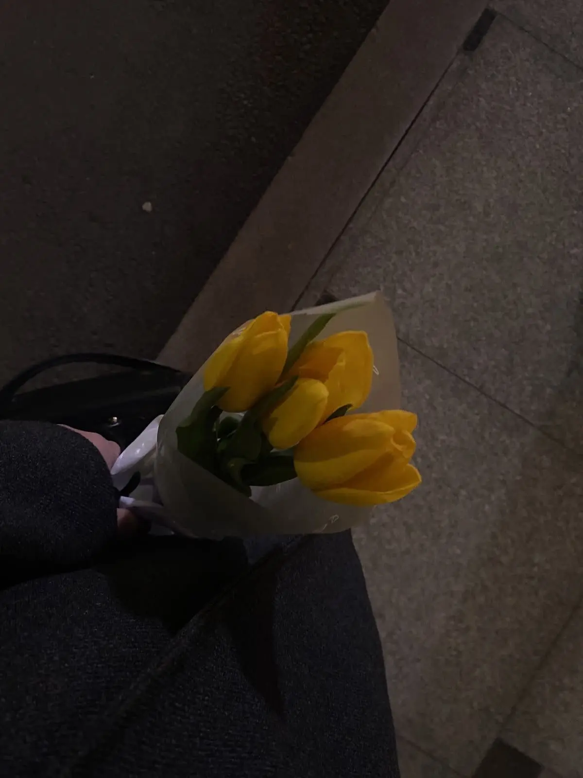 gyznx.0의 귭청