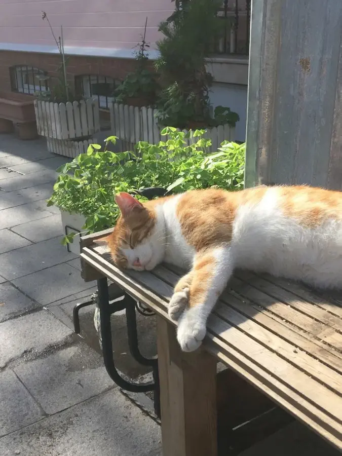 BusyWasp5846의 김민정