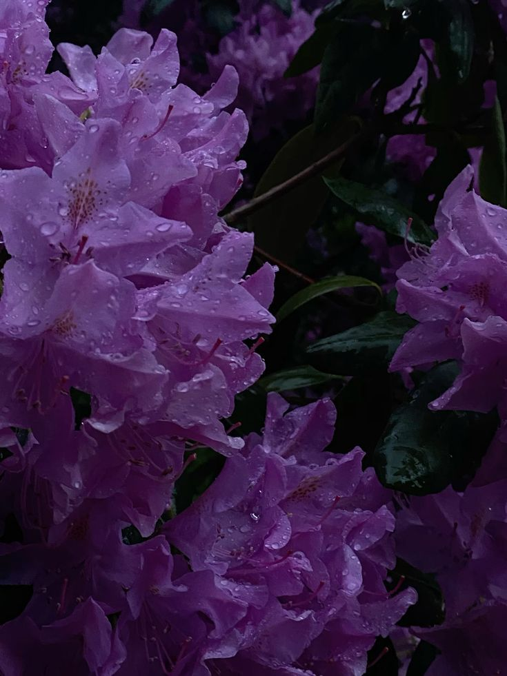 산화공덕(散花功德) 대표 이미지