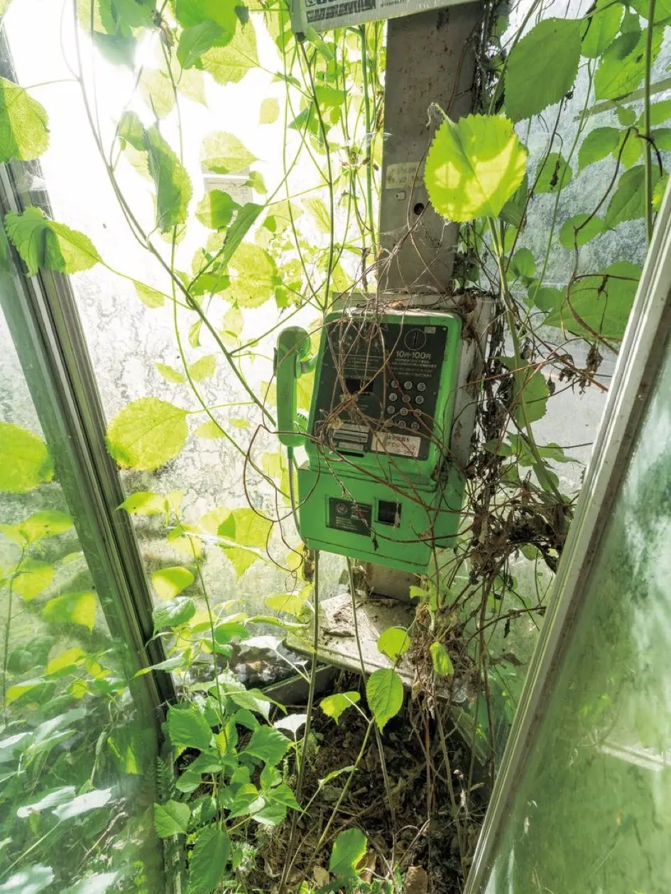 PickyMint5864의 이핑구