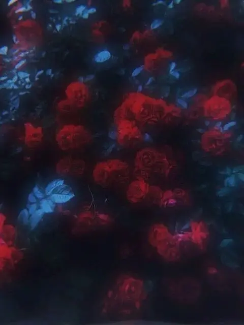 ruby_0711의 #.どうか愛を見せつけて─‬