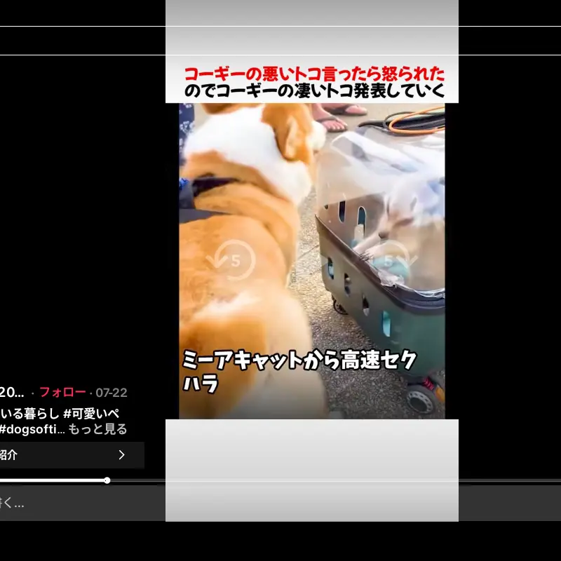 RipeAnt9769의 実弥、義勇に監禁されちゃう！！