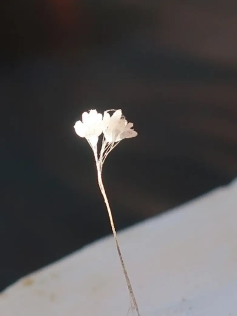 Kik2013i0410의 저기, 다시 한번 생각 해봐요~