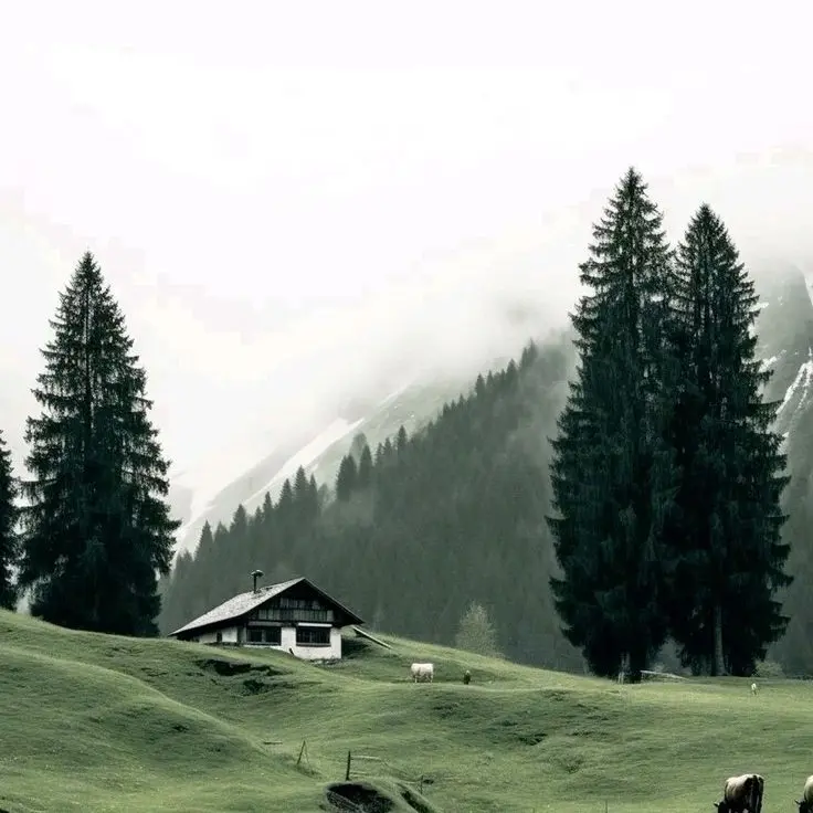 Tasty127의 김도영