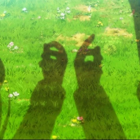 에이티식스 86