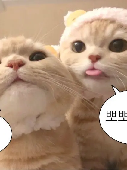 HOSHINAislove의 "왜 그녀석만 좋아하는건데.."