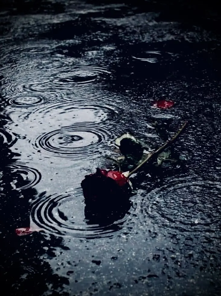 _m3jlxot의 DLMLU