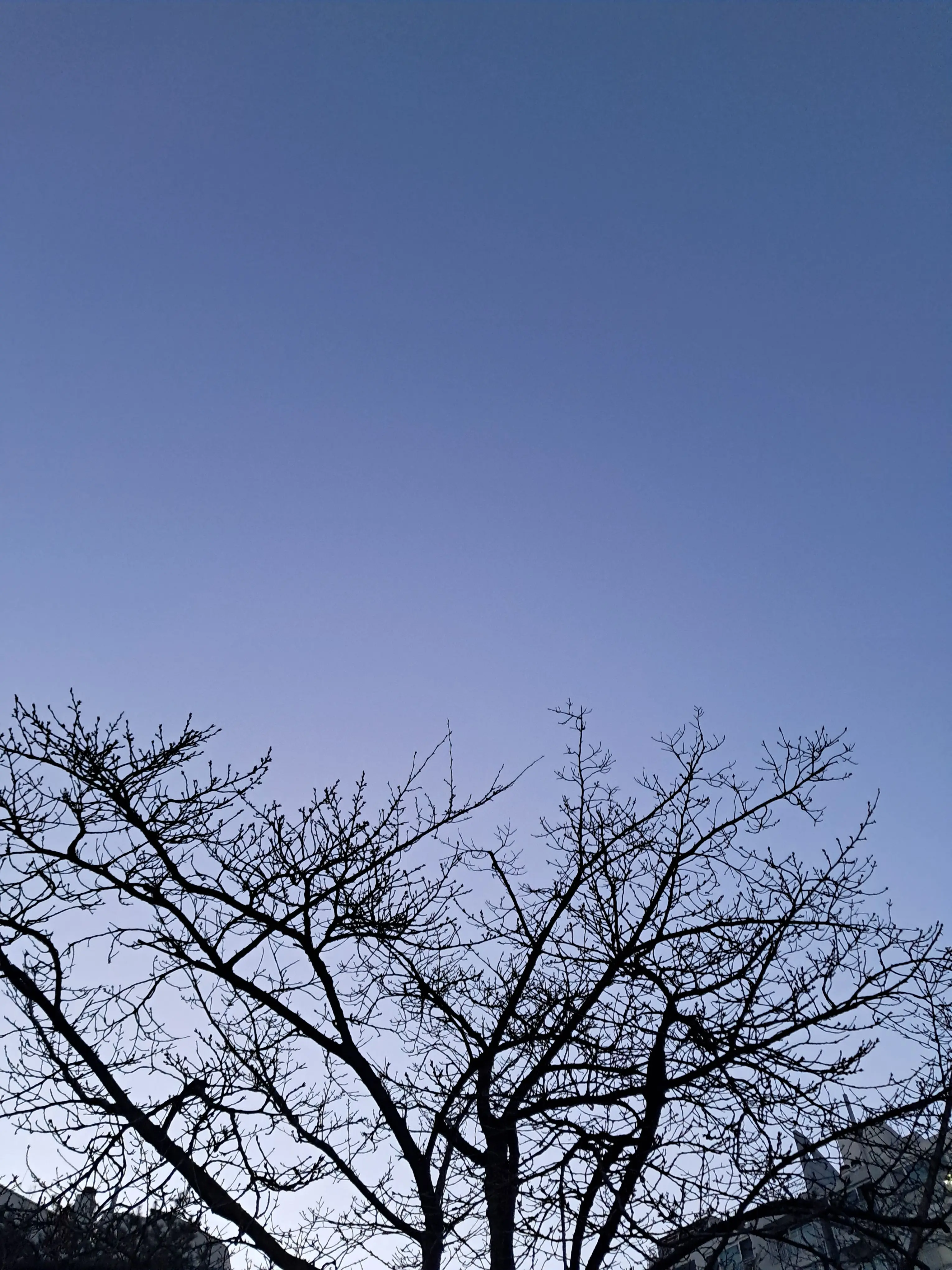 KOREA.COM의 난리다 난리
