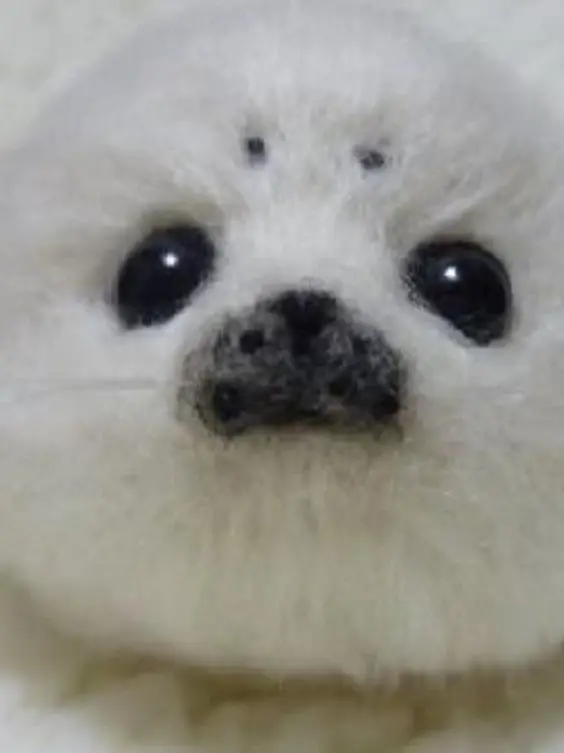 PaddedAnger3193의 [나를 부탁해!]