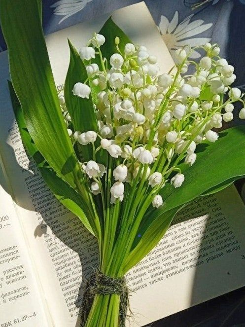 산행하다 곰덫을밞았어 너무아파~~!! 대표 이미지