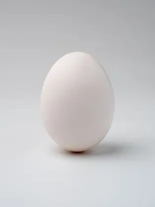 1egg1egg1egg의 シェフになろう！