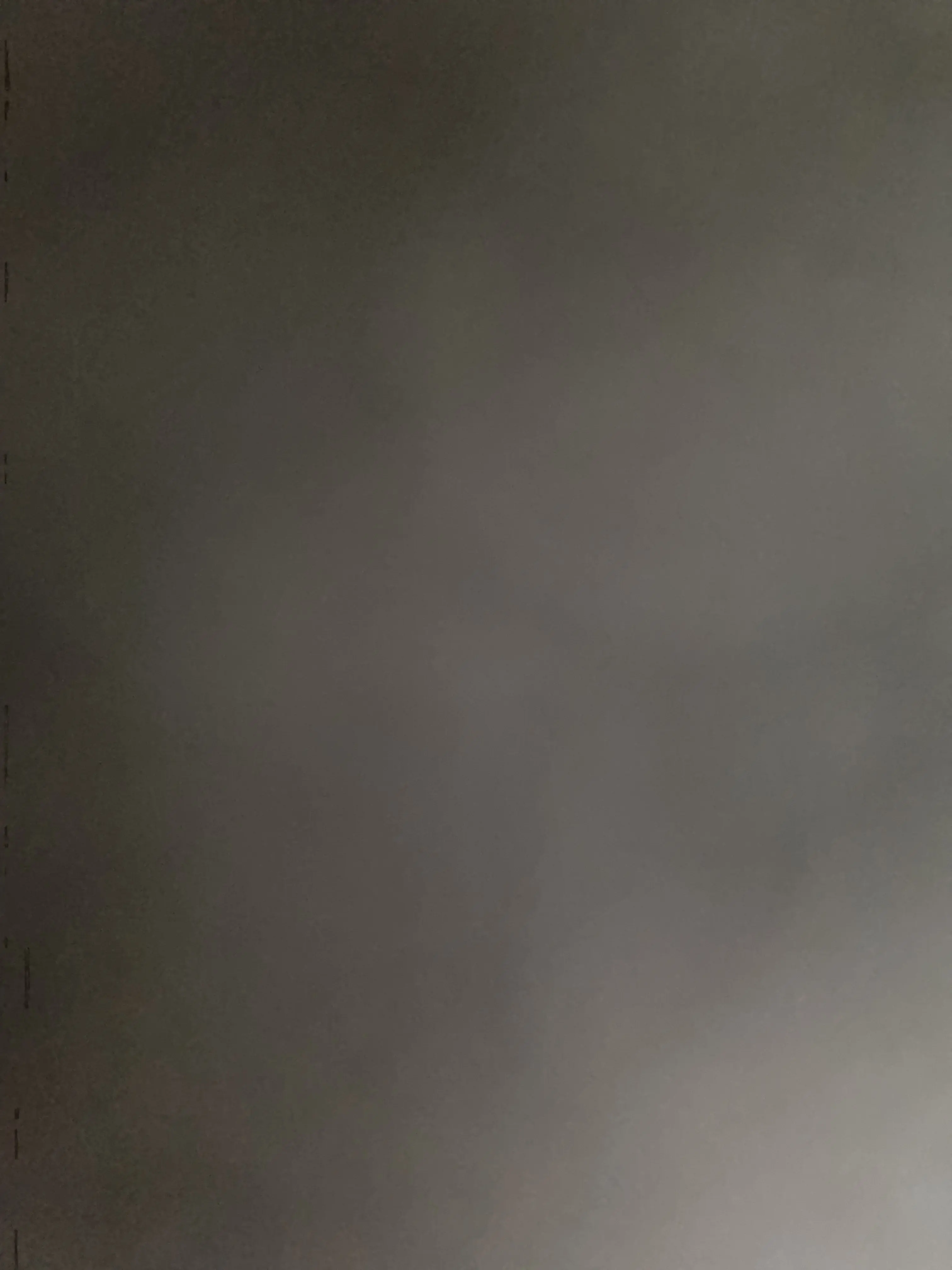 GustyTrump9947의 백하늘