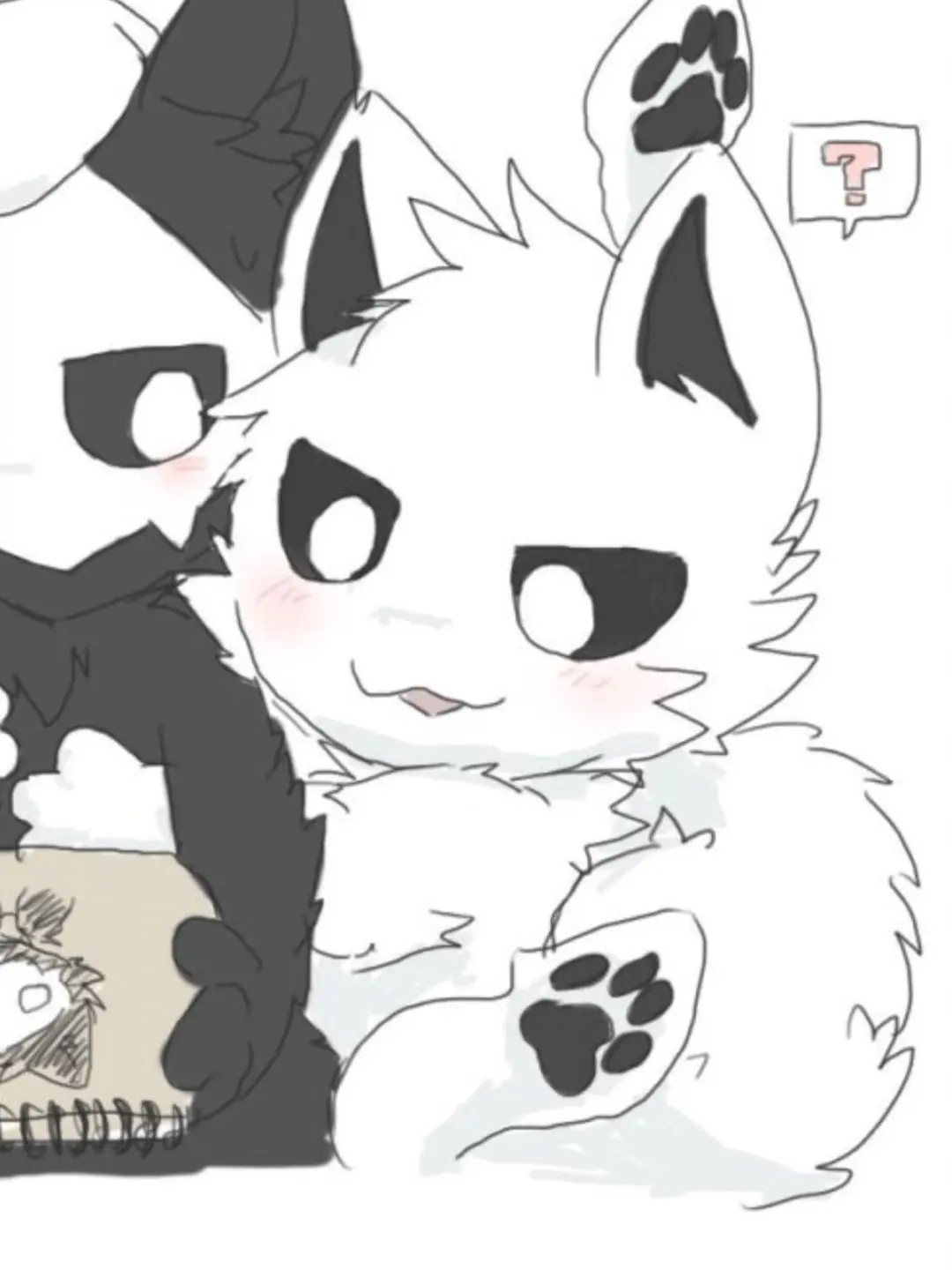 Guest5427의 오징어견