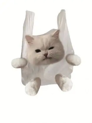 LuckyYeryung77의 당신은 야시로 네네 입니다, 많관부❤