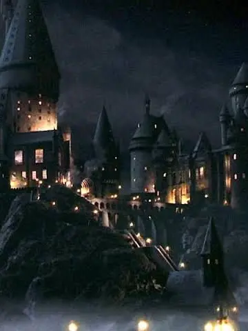 NANA0115의 ハリー達と一緒に過ごそう！