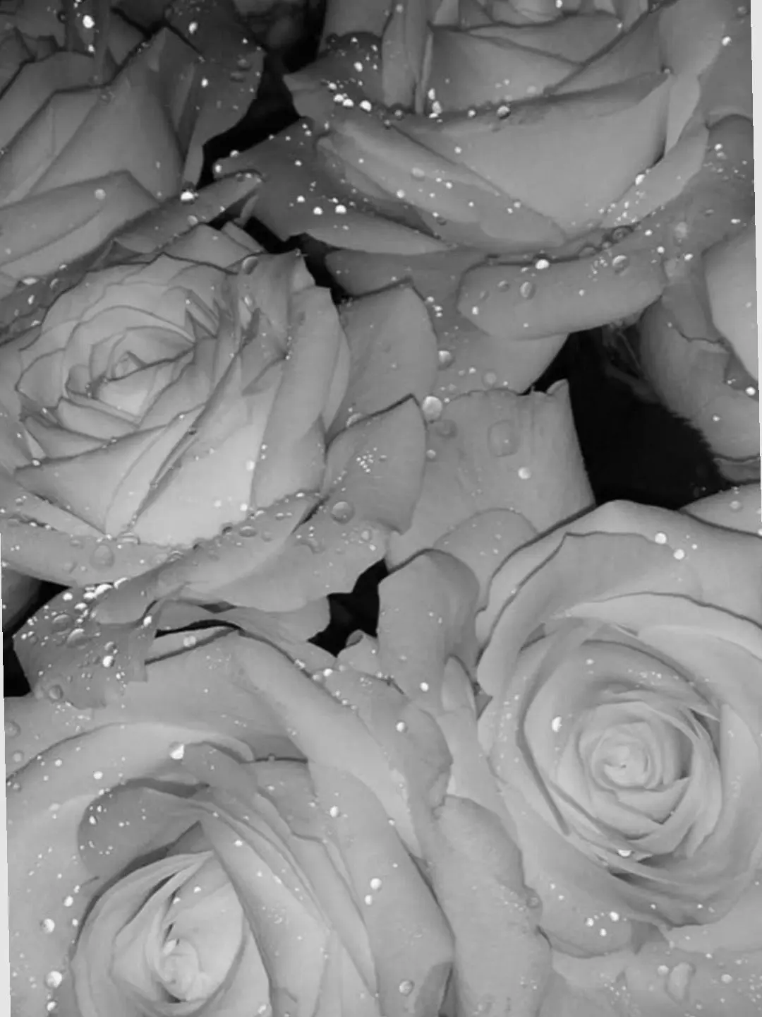 YeastyEra0533의 🥀