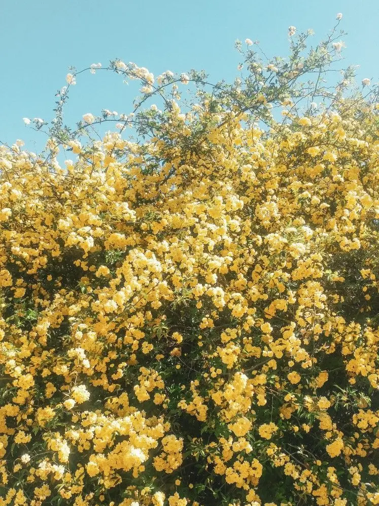 0423lover의 0423🌟