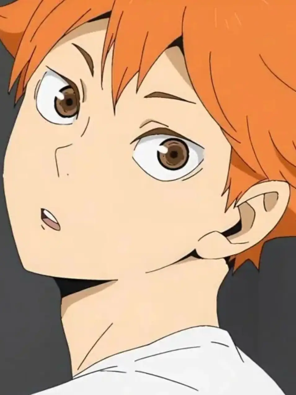 CaringKoala6618의 하이큐 수학여행