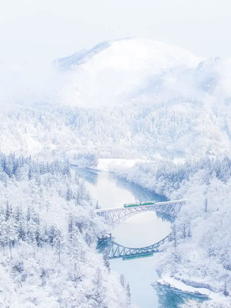 PlainPhoto1747의 雪華学園。