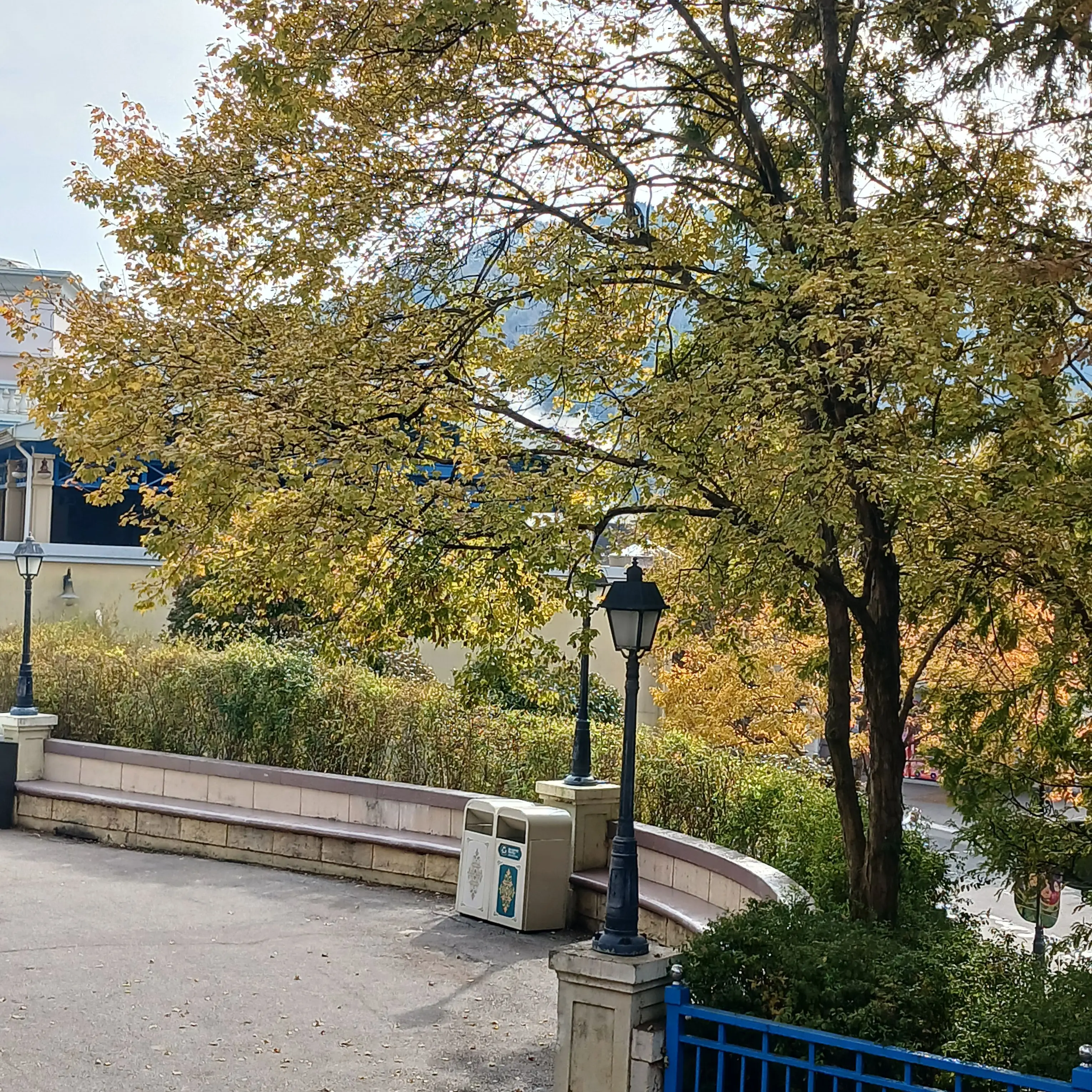 shininglife의 긴급공지