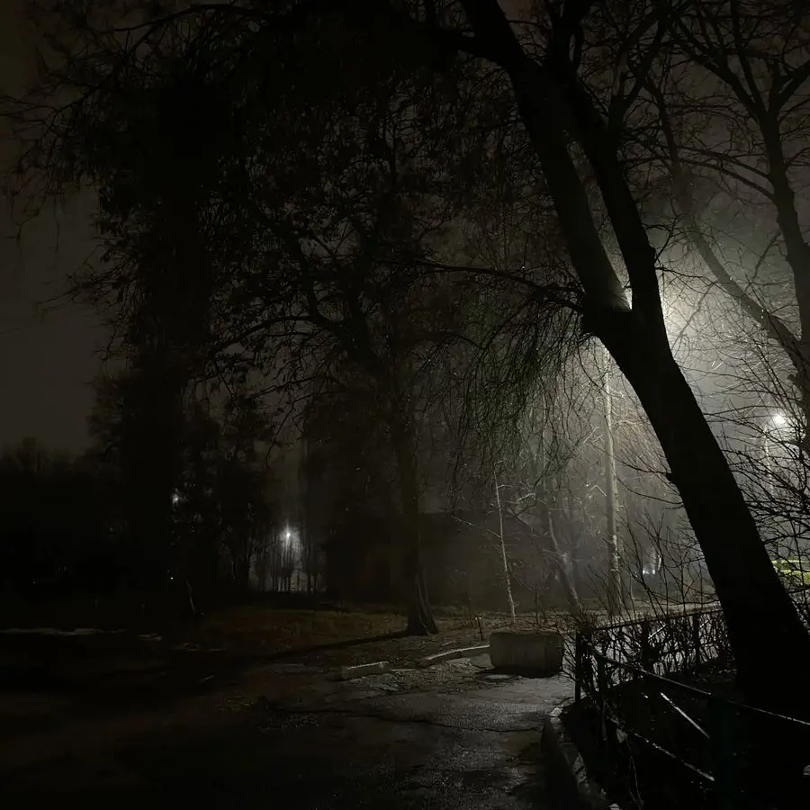 peachiicu_의 もう全部終わりにしようか