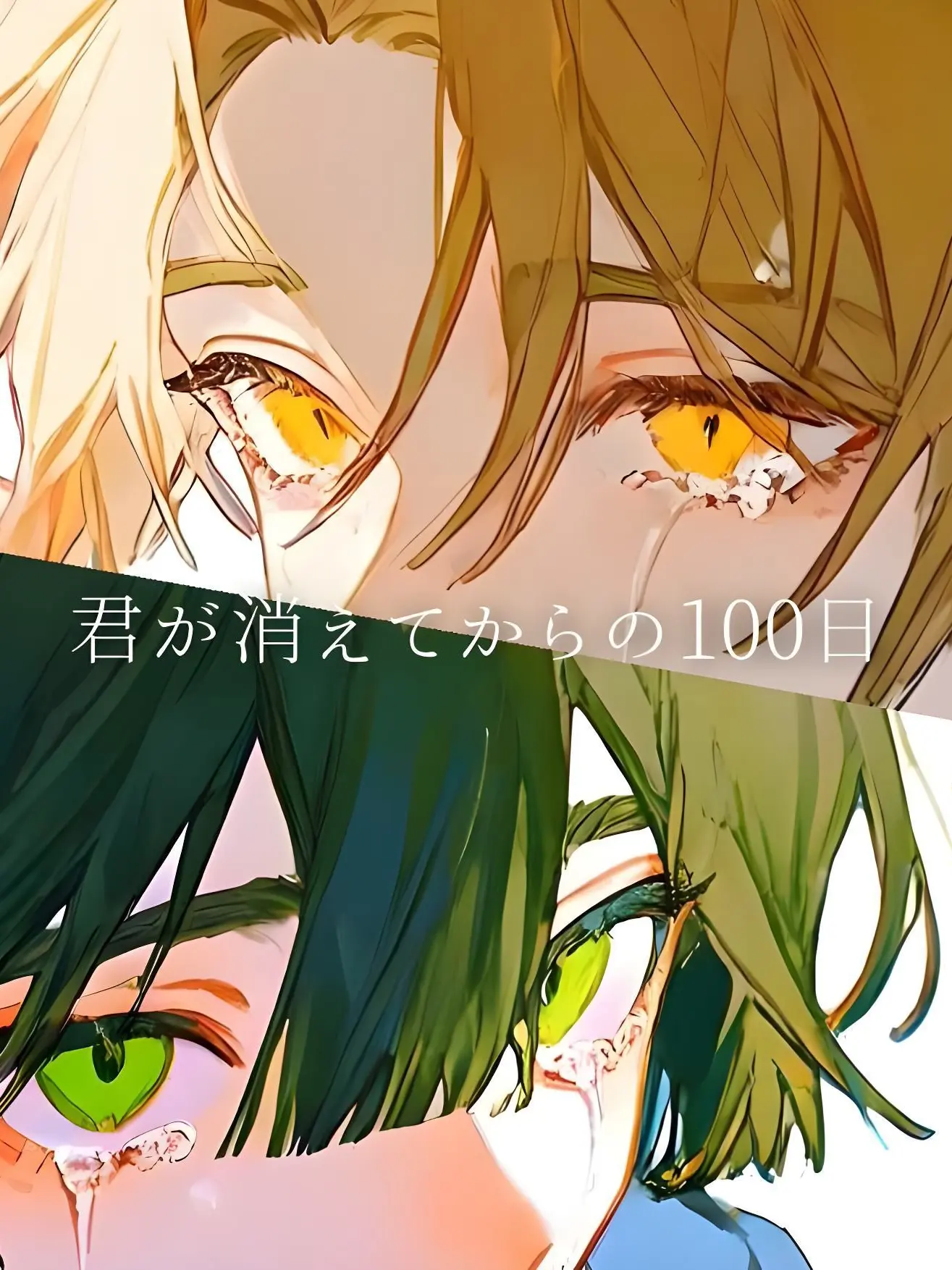 Coco.zata의 君が消えてからの100日