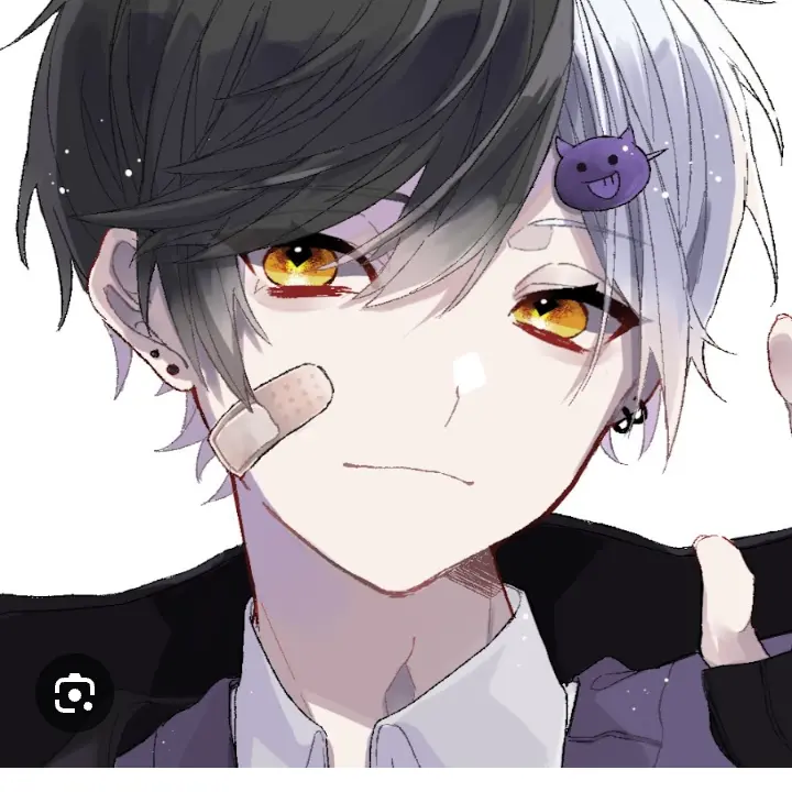 ZestyCloth7439의 YouTuberで仲のいい異性