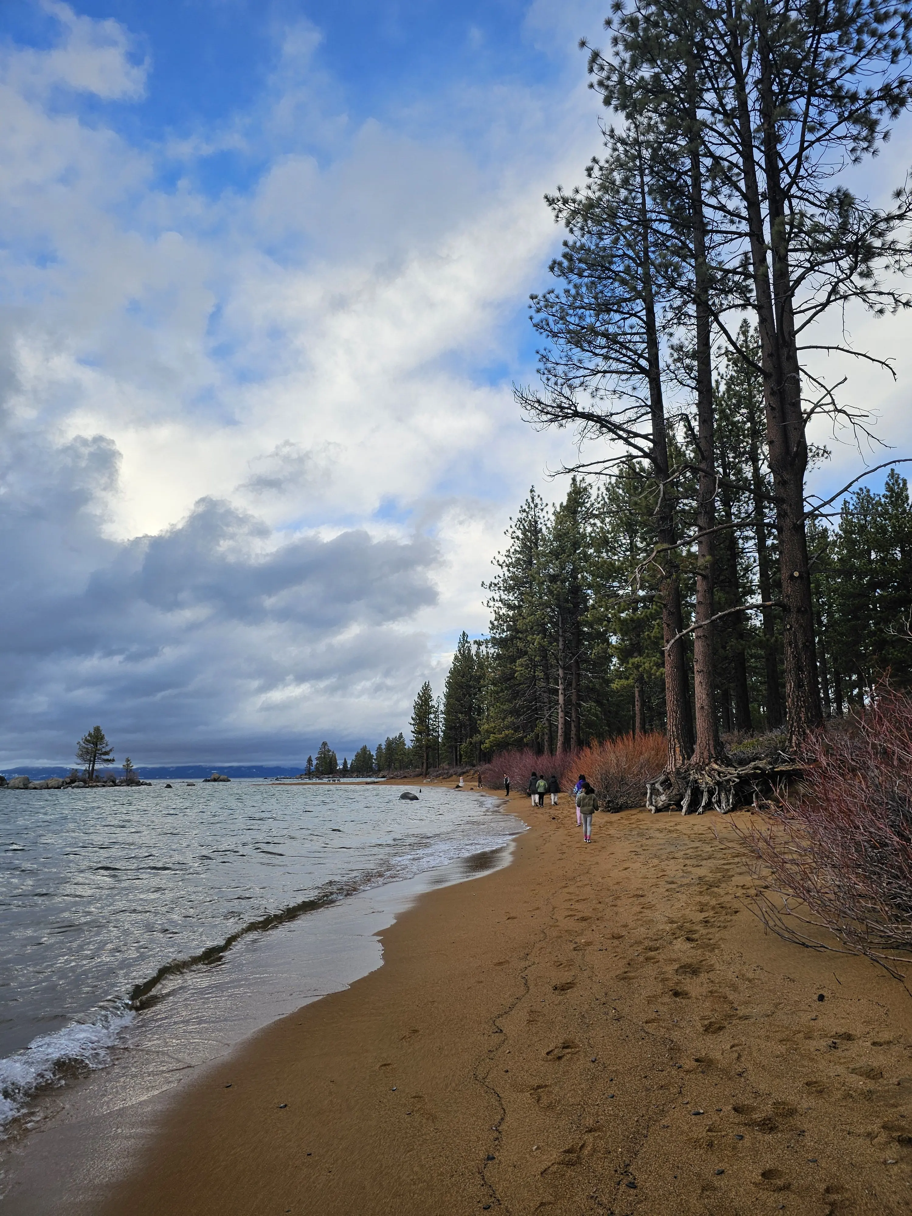 RoomyCheek7824의 뜰팁 무너진 낙원의 수인들