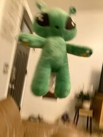 FloralDam3583의 인기많고 잘생긴 선배