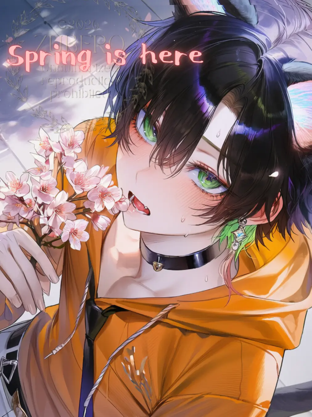 zuberoppicheese의 うちのこ記念日